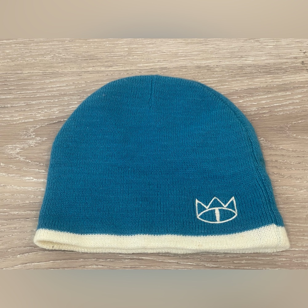 NWOT Cat Empire embroidered band logo beanie blue & white